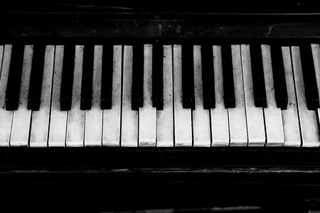 Keyboard instrument music photo