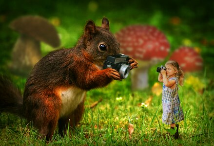 Nature animal child