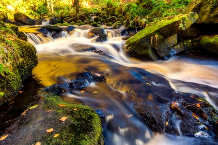 Bolton abbey wharfedale autumn