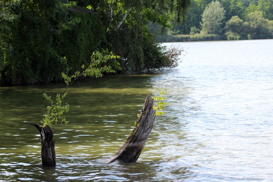 Edge of the pond surface lake