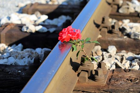 Tragedy rail track crossing