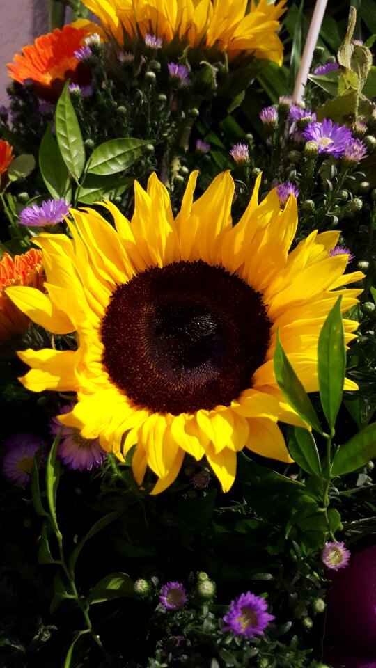 Nature spring summer