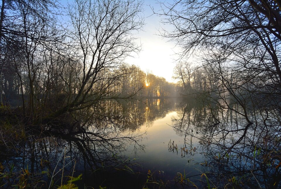 Nature reflection blue