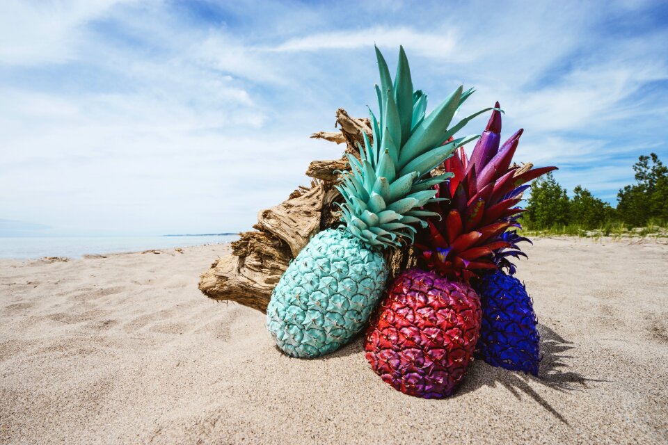 Fruit juice crop