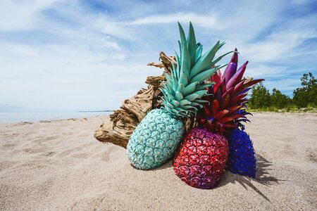 Fruit juice crop