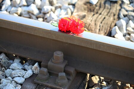 Tragedy rail track crossing