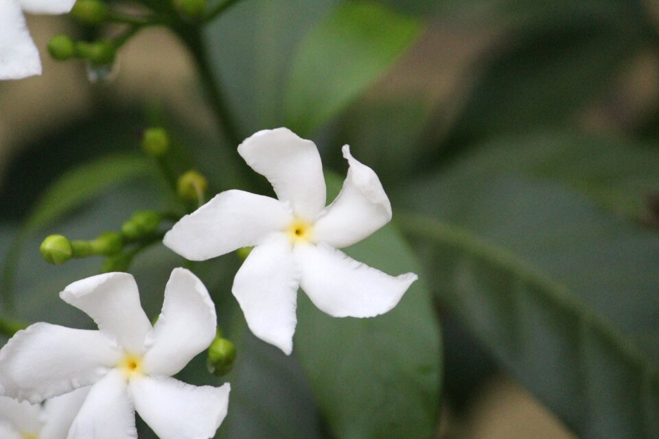 Rain rainy day white