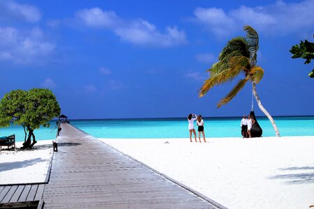 Colors the tropical beach