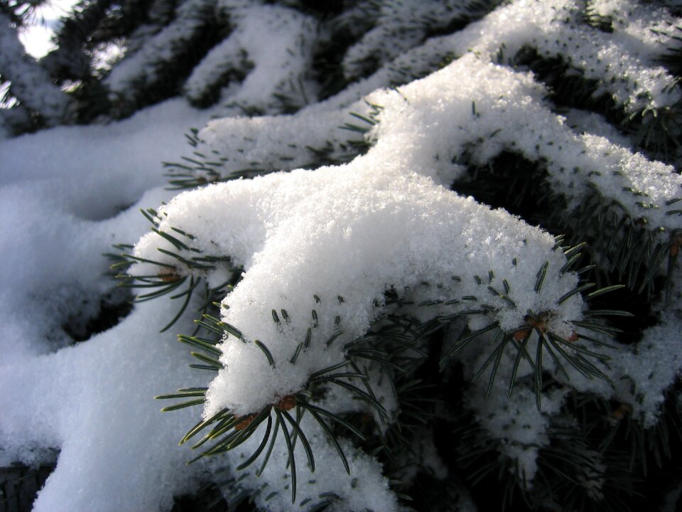 Cold season snowfall