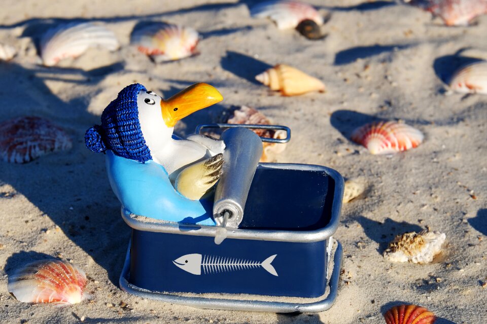 Tin of sardines fish box beach
