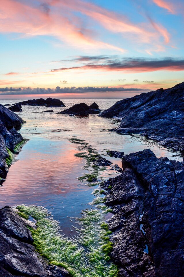 Landscape moss marine