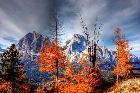Alpine view nature
