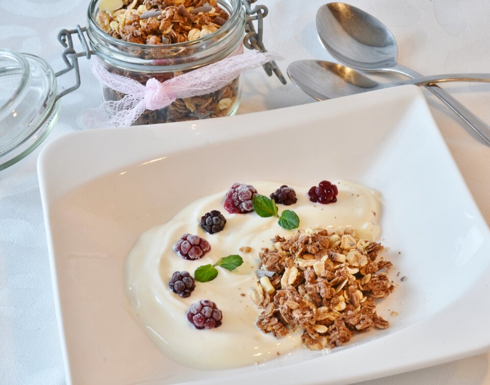 Yogurt dessert berries