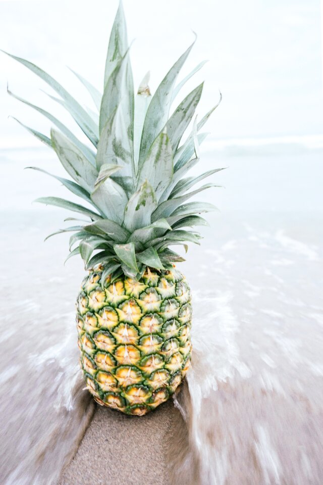 Fruit juice crop