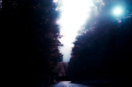 Streets forests sky