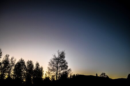 Trees sky clouds