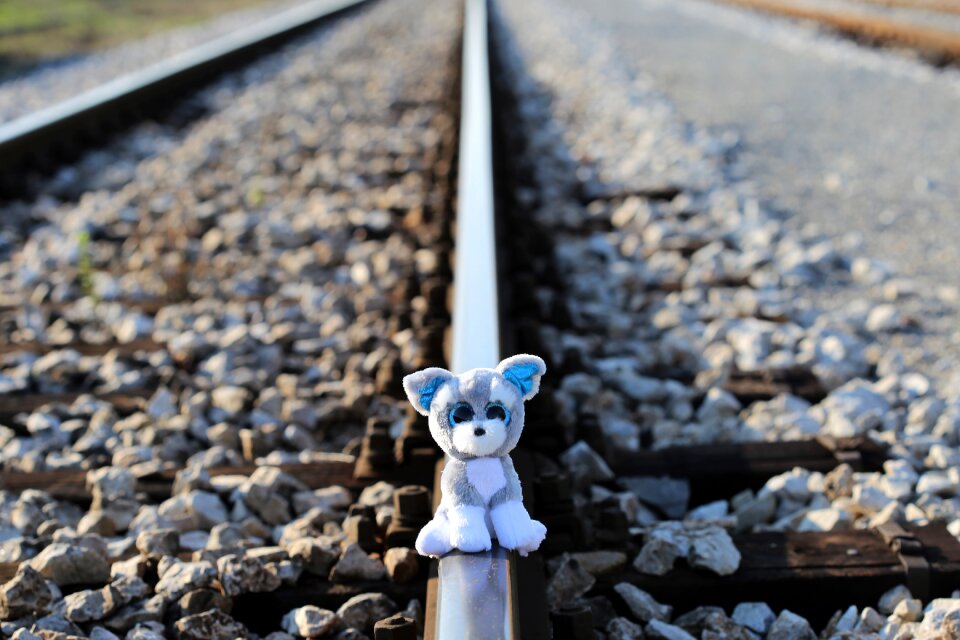 For lost friend railway remembering those kids