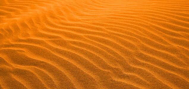 Orange yellow nature