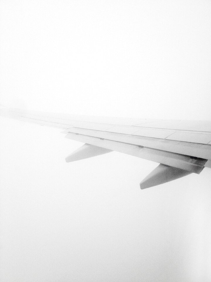Flight technology wings