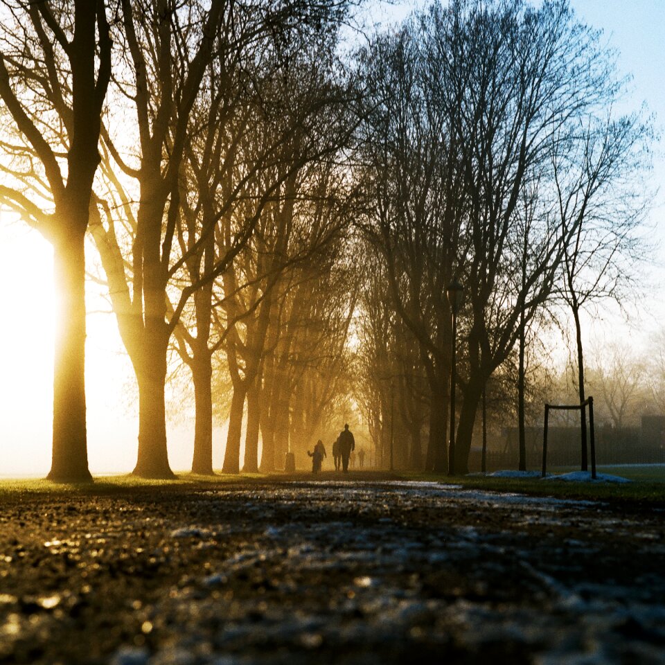 Road sunny sunshine photo