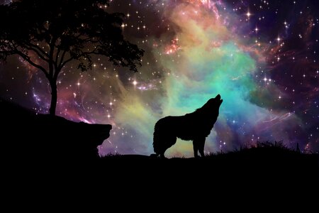 Digital art wolf silhouette