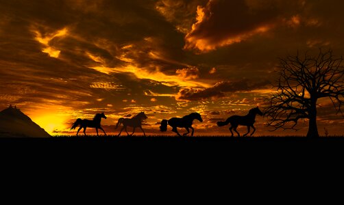 Evening dusk mood