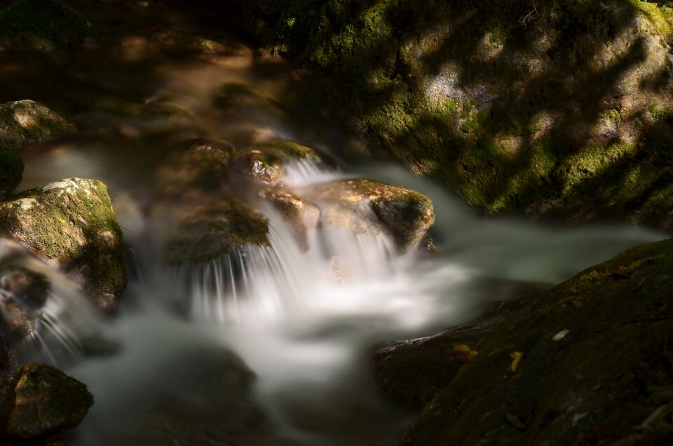 Stone wall gorge forest nature