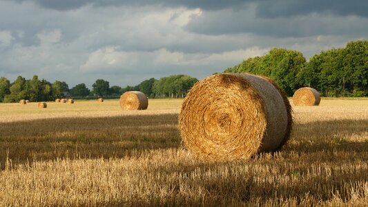 Round bales agriculture straw role