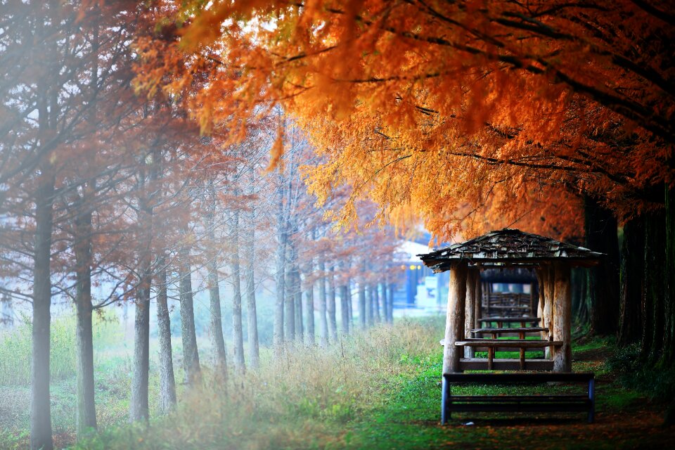 Booth landscape hope