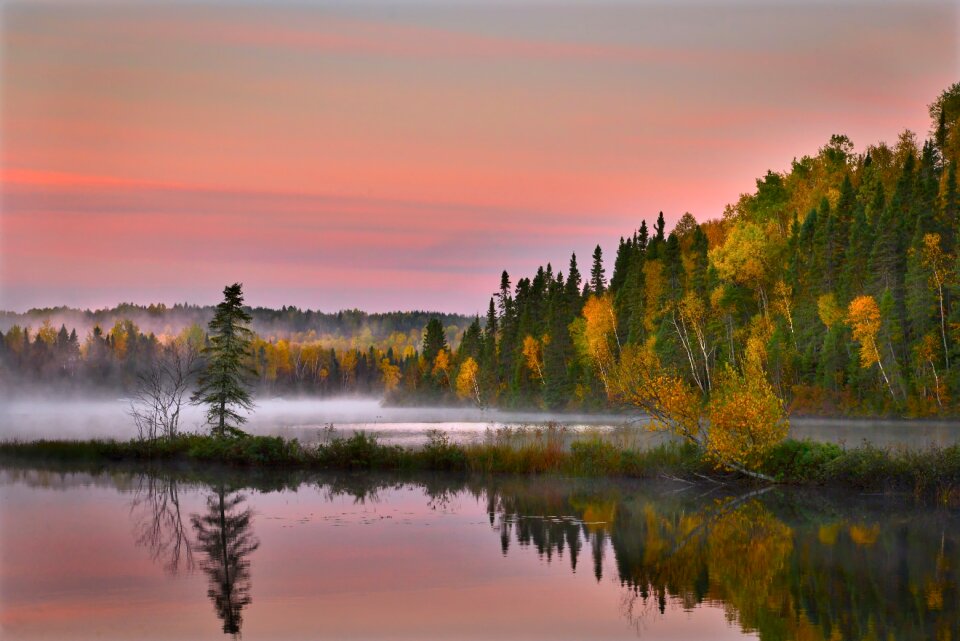 Water fall foliage trees