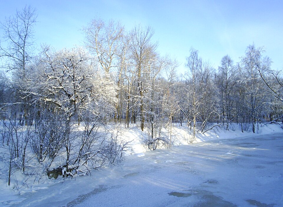 Winter landscape winter forest winter river