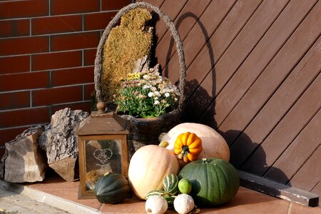 Decoration pumpkin lantern