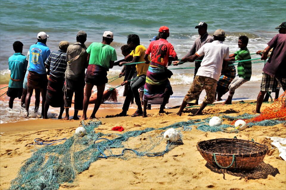 Network basket ocean
