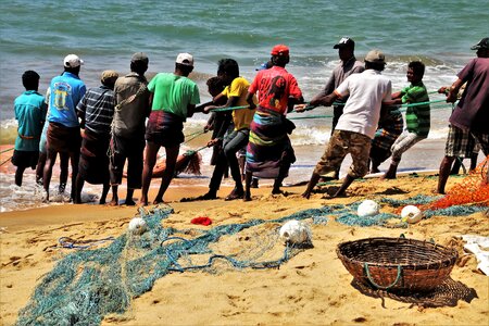 Network basket ocean
