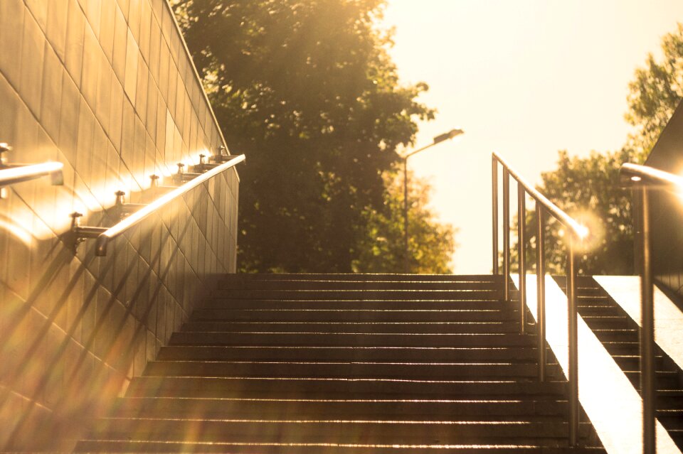 Transition city park sunlight