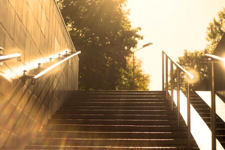 Transition city park sunlight