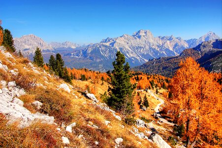 Alpine view nature photo