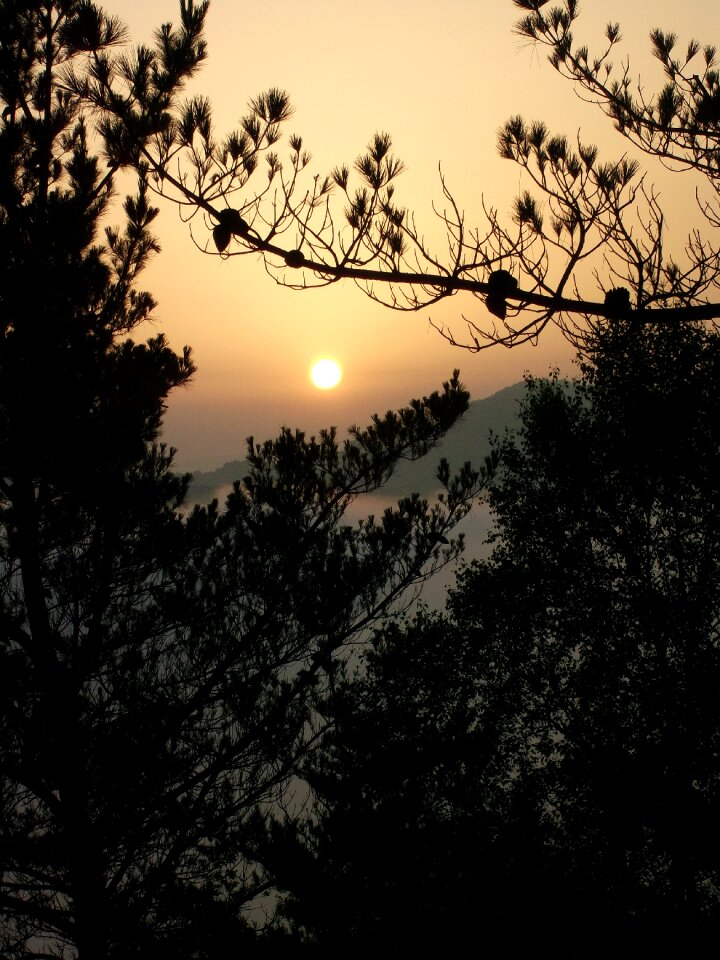Dawn landscape black landscape