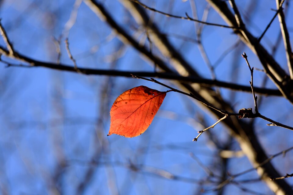 Nature season outdoors