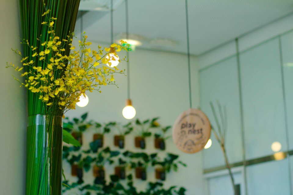 Design flower plant