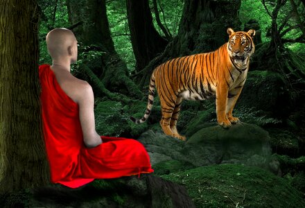 Mammal monk meditation