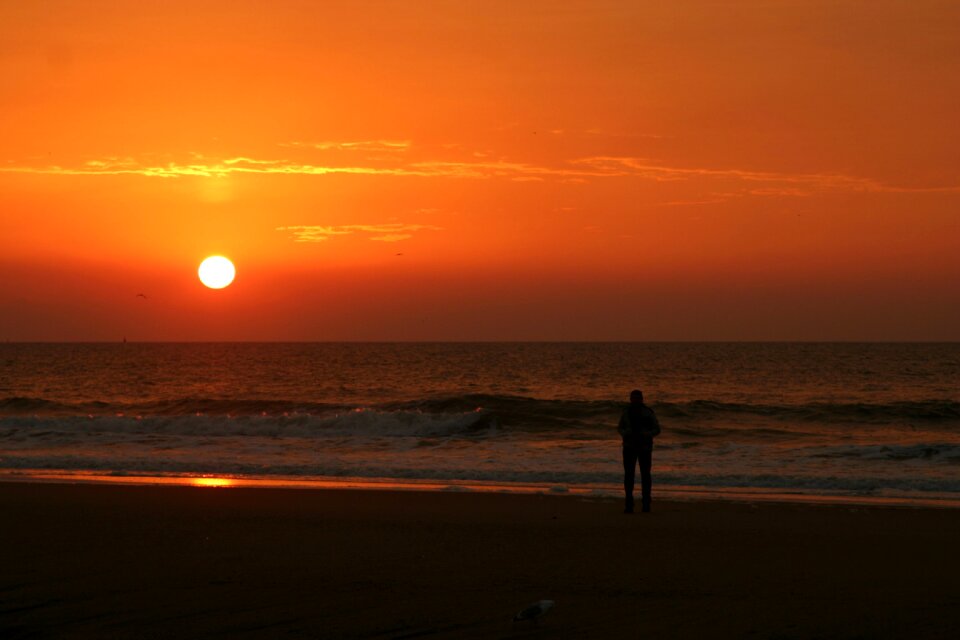 Sea view silhouette
