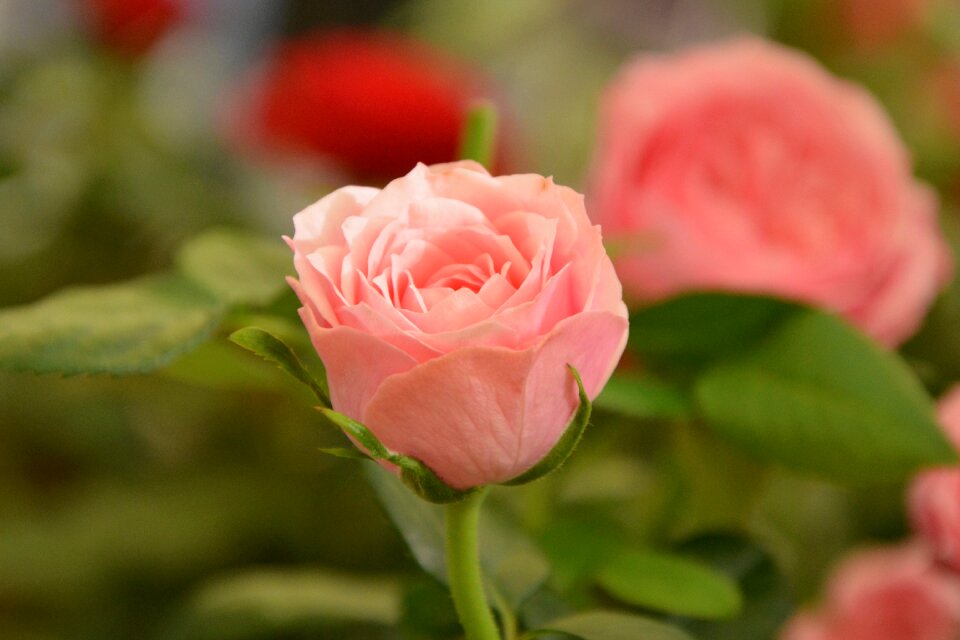 Offer tenderness love
