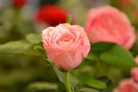 Offer tenderness love
