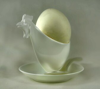 White bright egg bright