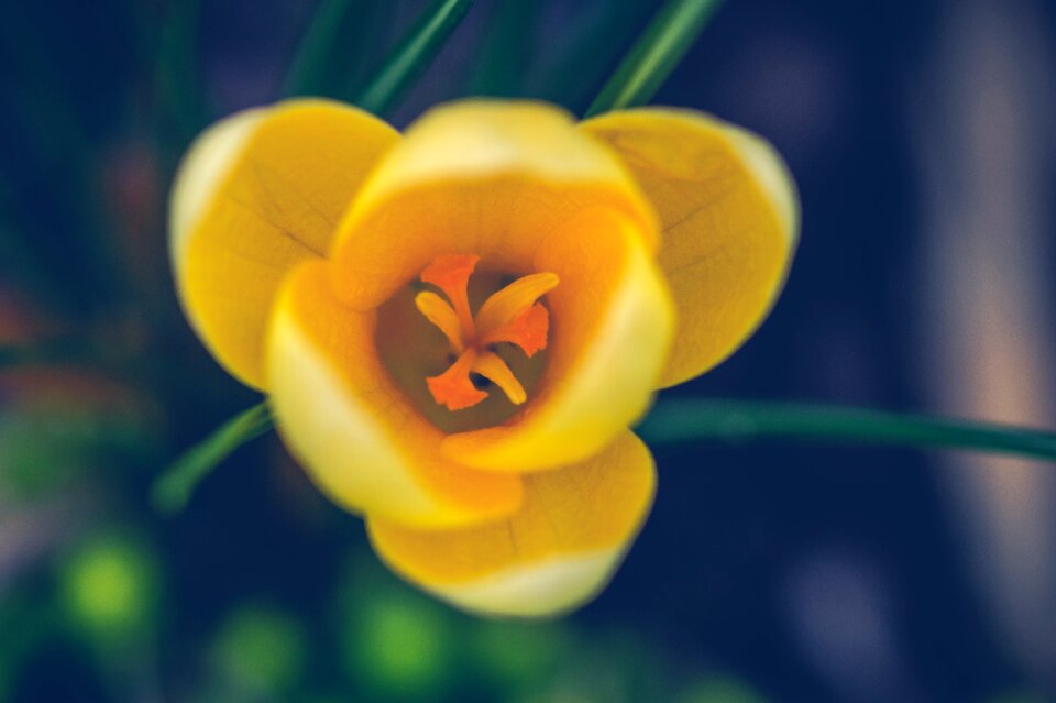 No person color spring