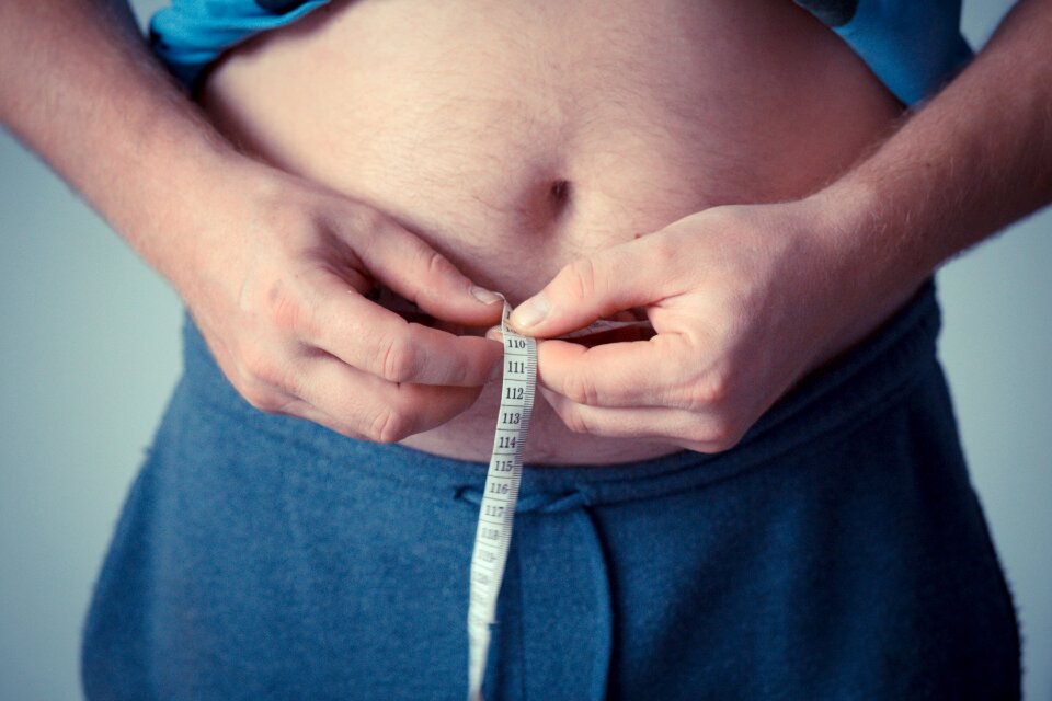 Lifestyle exercise obesity