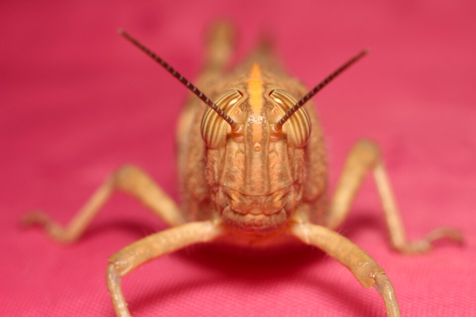 No one nature little