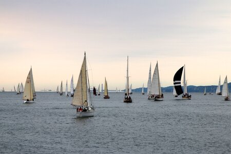 Sailboats boats Free photos