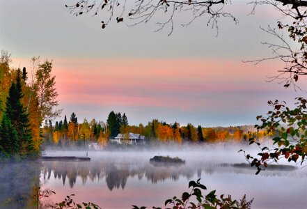 Fall trees lake